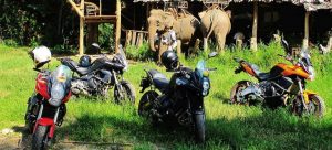 moto-y-viajar-con-elefantes