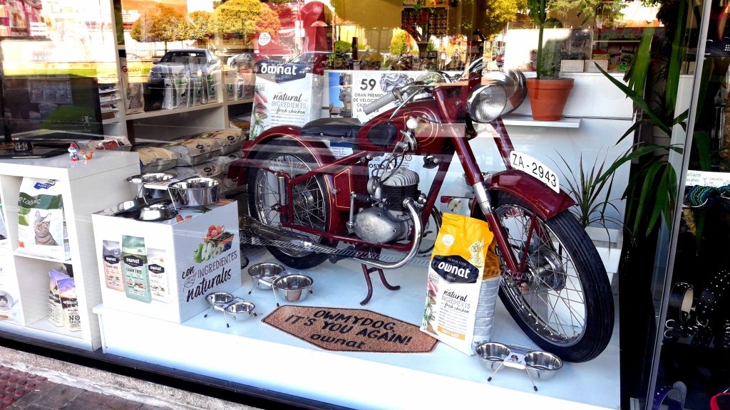 GP de La Bañeza 2018 reportaje (5)