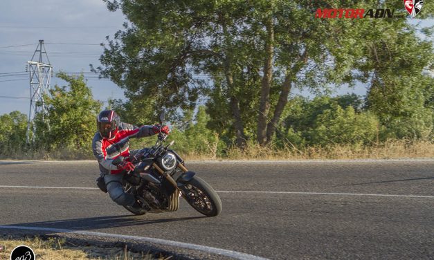 Fotos prueba Honda CB650 R 2019